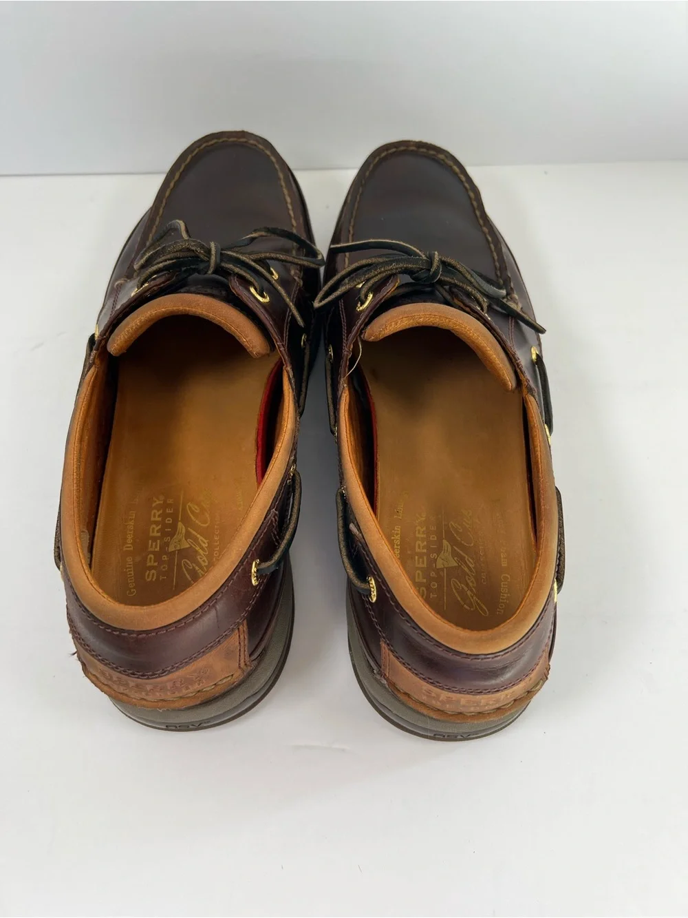 Sperry elevate your